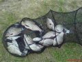 Садок для риби - прокат у Кременчуці